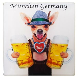 Großes 8 x 8cm Magnete München Bierkrug Maßkrug Masskrug Hund Germany MT15