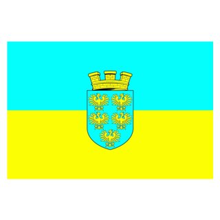 Niederösterreich Flagge 90x150 cm
